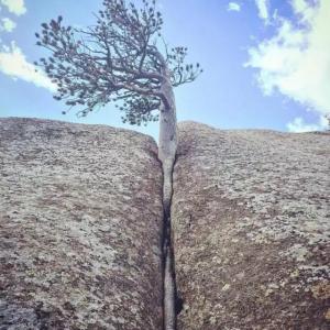 Today is the date when the monthly settlement price is released. Compared with the previous month, the price has dropped by USD 131 per ton. 