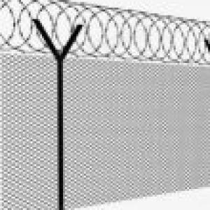 Wire Mesh